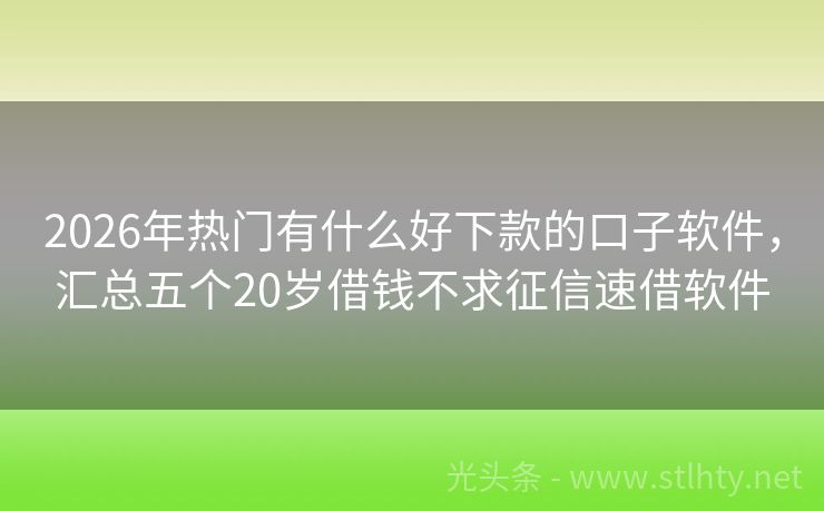 2026年热门有什么好下款的口子软件，汇总五个20岁借钱不求征信速借软件