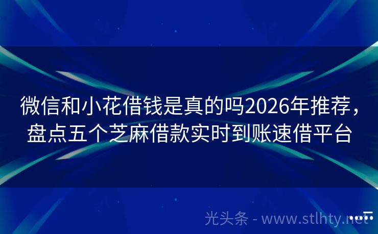 微信和小花借钱是真的吗2026年推荐，盘点五个芝麻借款实时到账速借平台
