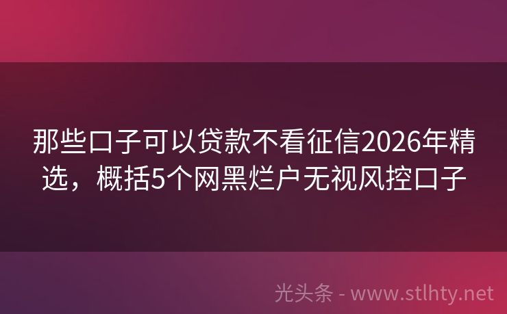 那些口子可以贷款不看征信2026年精选，概括5个网黑烂户无视风控口子
