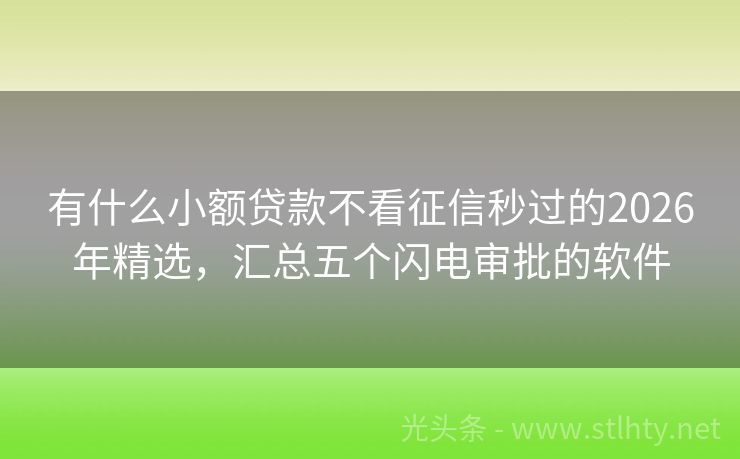 有什么小额贷款不看征信秒过的2026年精选，汇总五个闪电审批的软件