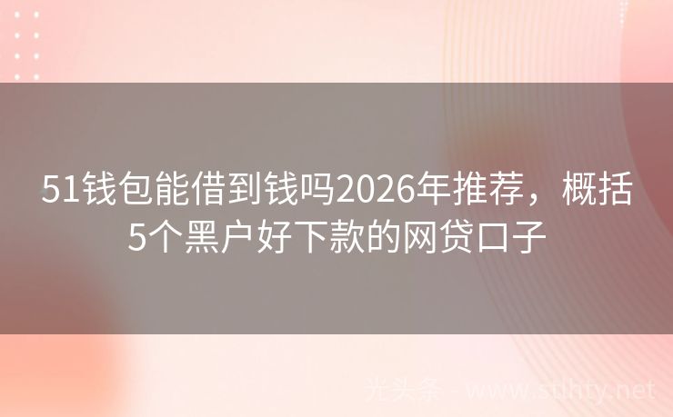 51钱包能借到钱吗2026年推荐，概括5个黑户好下款的网贷口子