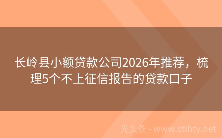 长岭县小额贷款公司2026年推荐，梳理5个不上征信报告的贷款口子