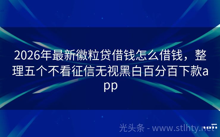 2026年最新徽粒贷借钱怎么借钱，整理五个不看征信无视黑白百分百下款app