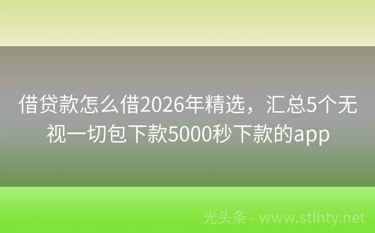 借贷款怎么借2026年精选，汇总5个无视一切包下款5000秒下款的app