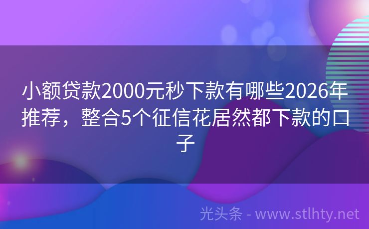 小额贷款2000元秒下款有哪些2026年推荐，整合5个征信花居然都下款的口子