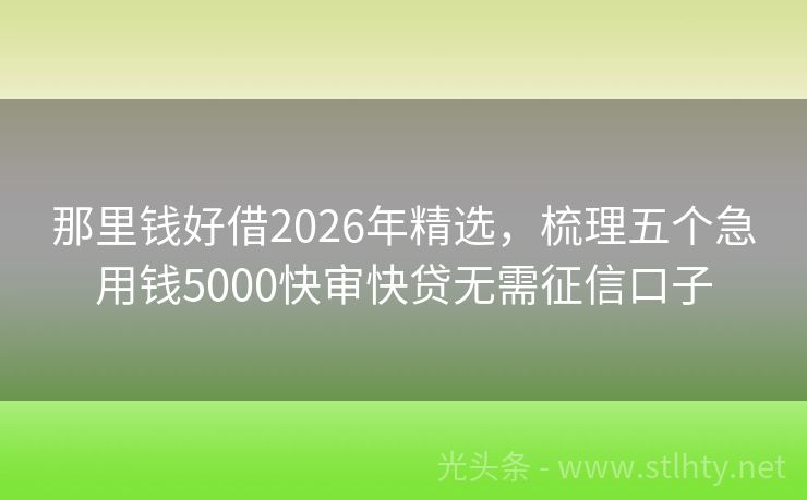 那里钱好借2026年精选，梳理五个急用钱5000快审快贷无需征信口子