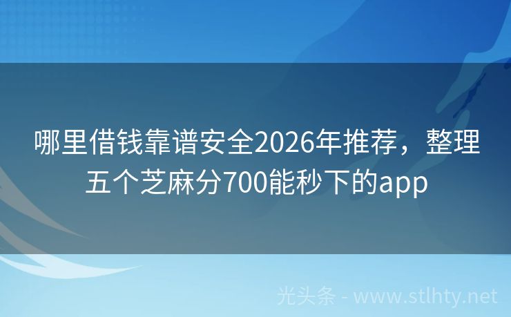 哪里借钱靠谱安全2026年推荐，整理五个芝麻分700能秒下的app