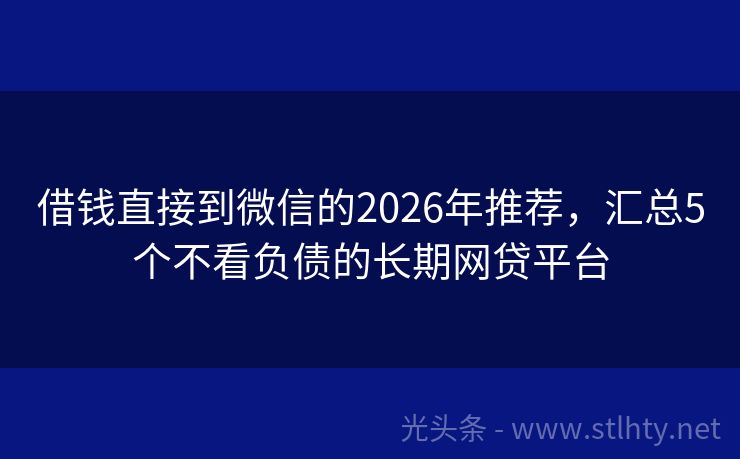 借钱直接到微信的2026年推荐，汇总5个不看负债的长期网贷平台