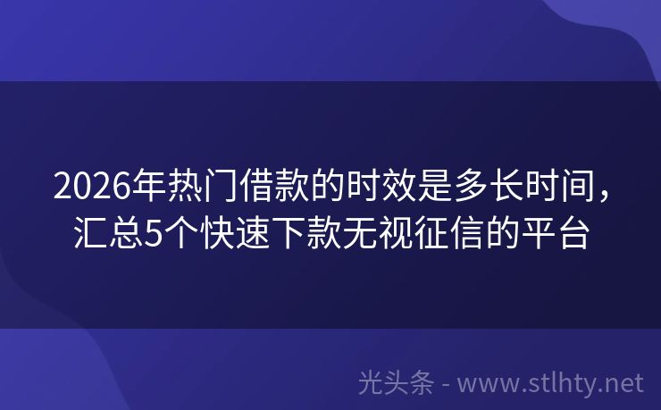 2026年热门借款的时效是多长时间，汇总5个快速下款无视征信的平台