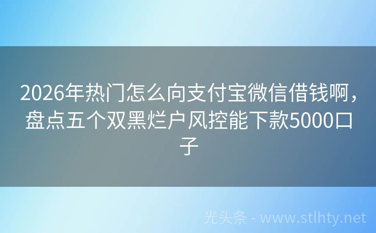 2026年热门怎么向支付宝微信借钱啊，盘点五个双黑烂户风控能下款5000口子