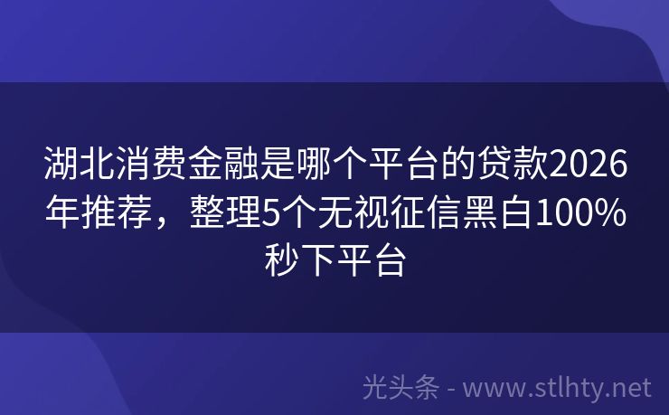 湖北消费金融是哪个平台的贷款2026年推荐，整理5个无视征信黑白100%秒下平台