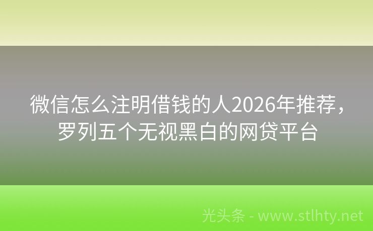 微信怎么注明借钱的人2026年推荐，罗列五个无视黑白的网贷平台