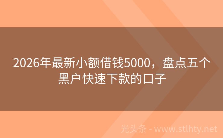 2026年最新小额借钱5000，盘点五个黑户快速下款的口子