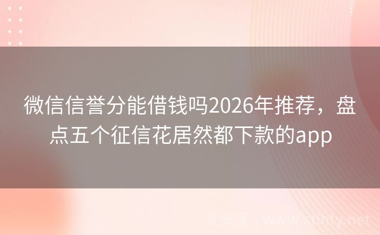 微信信誉分能借钱吗2026年推荐，盘点五个征信花居然都下款的app