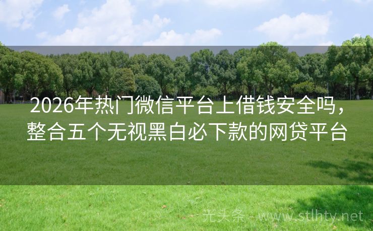 2026年热门微信平台上借钱安全吗，整合五个无视黑白必下款的网贷平台