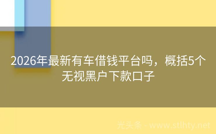 2026年最新有车借钱平台吗，概括5个无视黑户下款口子