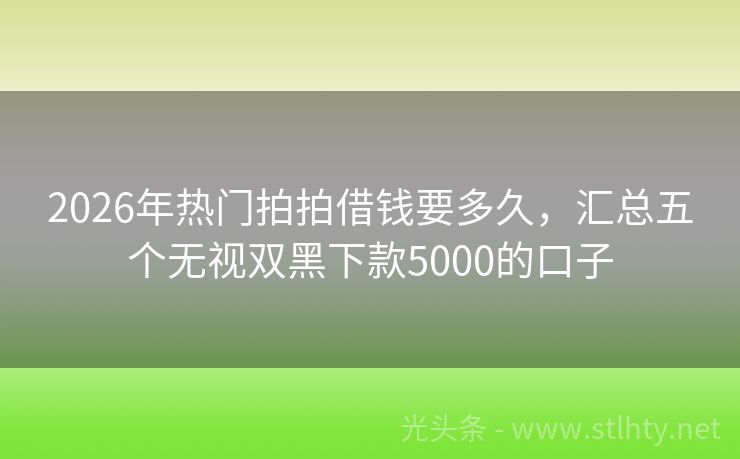 2026年热门拍拍借钱要多久，汇总五个无视双黑下款5000的口子