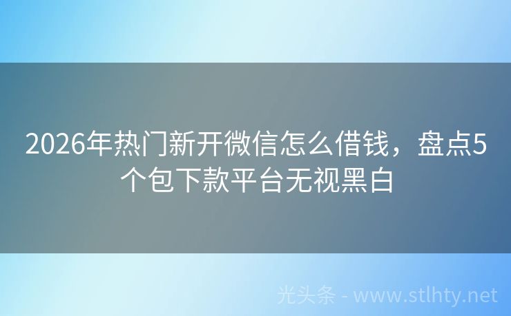 2026年热门新开微信怎么借钱，盘点5个包下款平台无视黑白