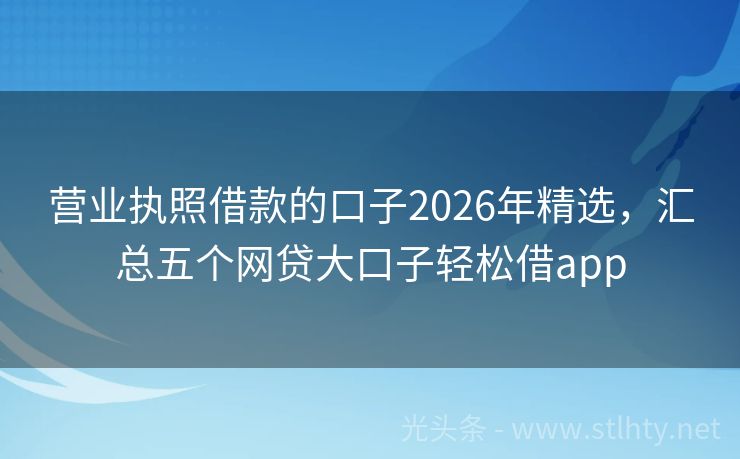 营业执照借款的口子2026年精选，汇总五个网贷大口子轻松借app