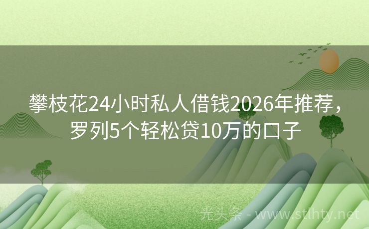 攀枝花24小时私人借钱2026年推荐，罗列5个轻松贷10万的口子