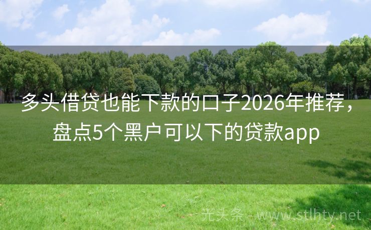 多头借贷也能下款的口子2026年推荐，盘点5个黑户可以下的贷款app