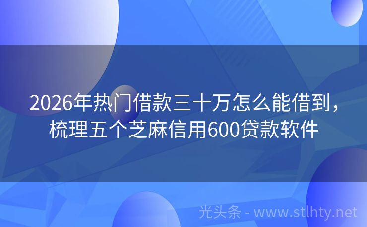 2026年热门借款三十万怎么能借到，梳理五个芝麻信用600贷款软件