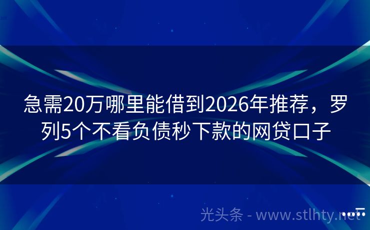 急需20万哪里能借到2026年推荐，罗列5个不看负债秒下款的网贷口子