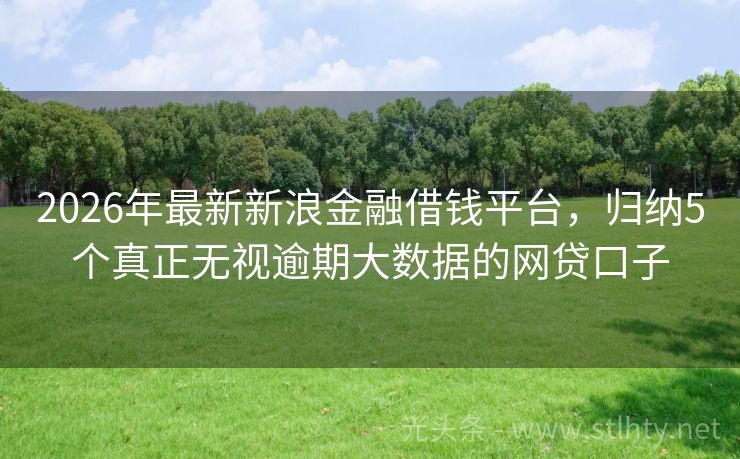 2026年最新新浪金融借钱平台，归纳5个真正无视逾期大数据的网贷口子