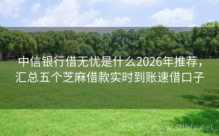 中信银行借无忧是什么2026年推荐，汇总五个芝麻借款实时到账速借口子