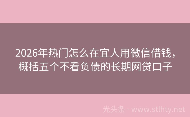 2026年热门怎么在宜人用微信借钱，概括五个不看负债的长期网贷口子