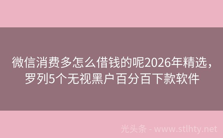 微信消费多怎么借钱的呢2026年精选，罗列5个无视黑户百分百下款软件
