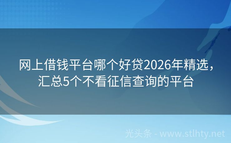 网上借钱平台哪个好贷2026年精选，汇总5个不看征信查询的平台