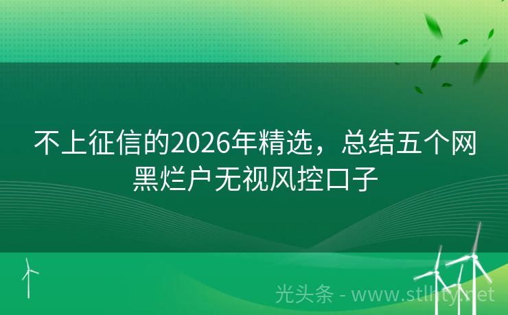 不上征信的2026年精选，总结五个网黑烂户无视风控口子