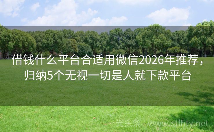 借钱什么平台合适用微信2026年推荐，归纳5个无视一切是人就下款平台