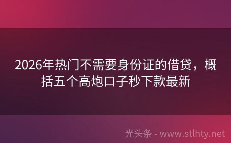 2026年热门不需要身份证的借贷，概括五个高炮口子秒下款最新