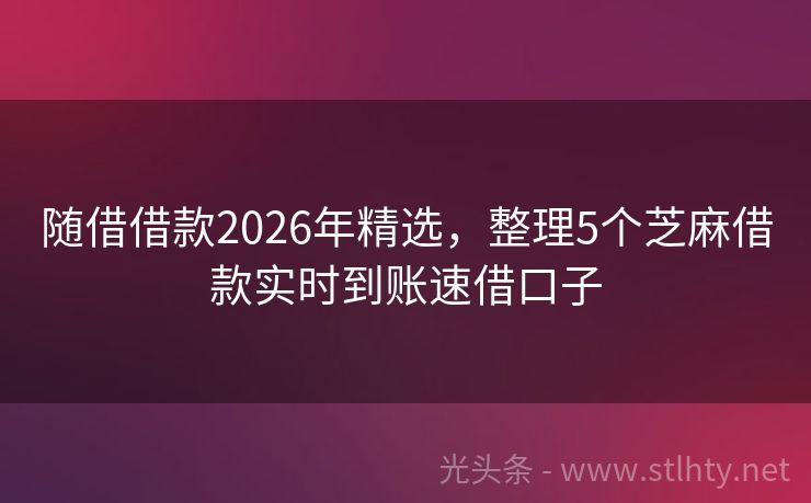 随借借款2026年精选，整理5个芝麻借款实时到账速借口子