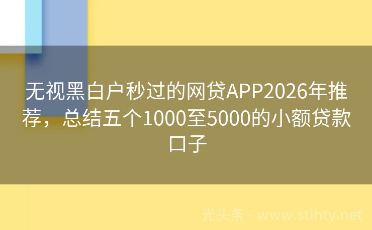 无视黑白户秒过的网贷APP2026年推荐，总结五个1000至5000的小额贷款口子
