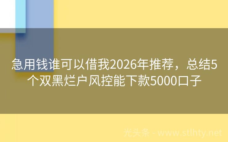 急用钱谁可以借我2026年推荐，总结5个双黑烂户风控能下款5000口子