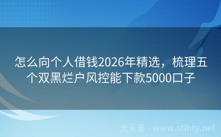 怎么向个人借钱2026年精选，梳理五个双黑烂户风控能下款5000口子