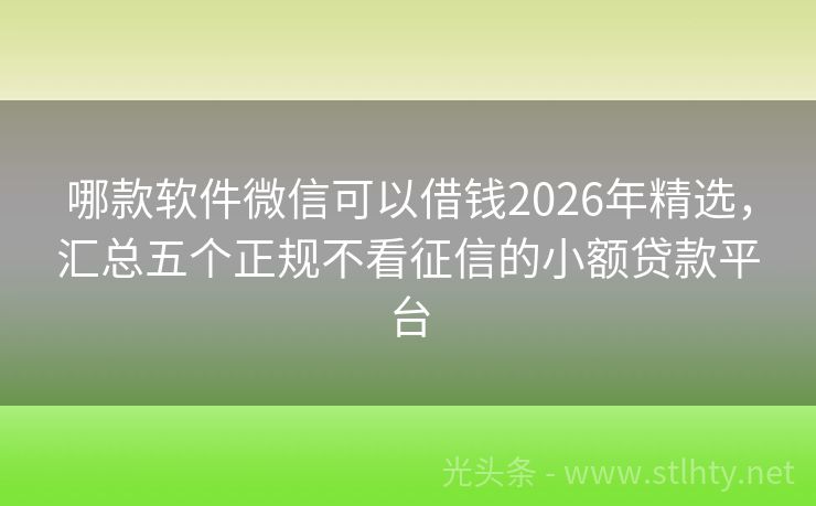 哪款软件微信可以借钱2026年精选，汇总五个正规不看征信的小额贷款平台