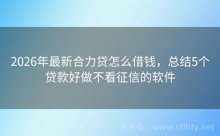 2026年最新合力贷怎么借钱，总结5个贷款好做不看征信的软件