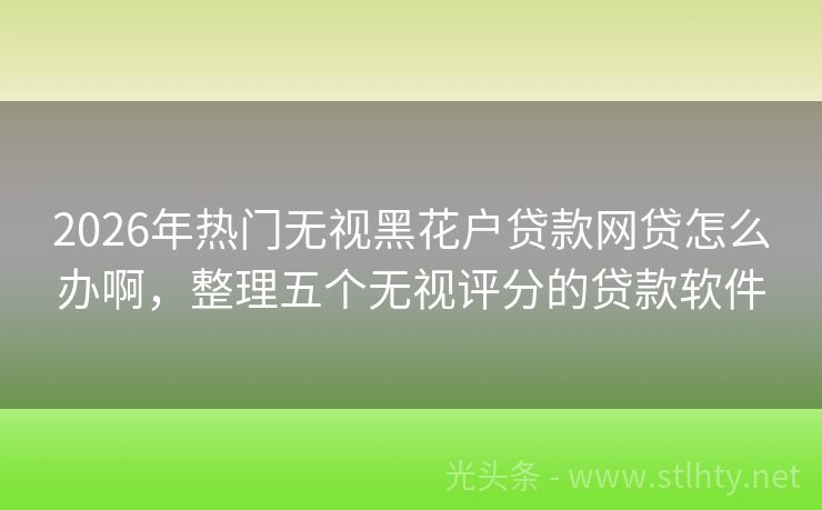 2026年热门无视黑花户贷款网贷怎么办啊，整理五个无视评分的贷款软件