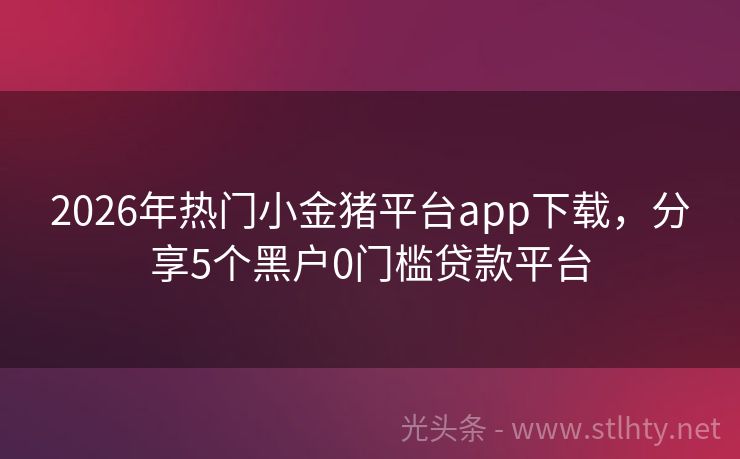 2026年热门小金猪平台app下载，分享5个黑户0门槛贷款平台