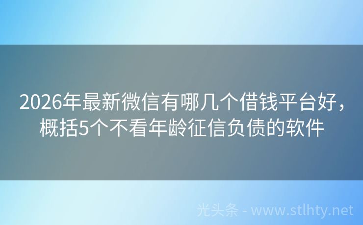 2026年最新微信有哪几个借钱平台好，概括5个不看年龄征信负债的软件