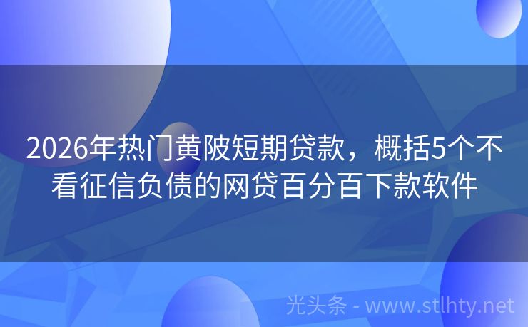2026年热门黄陂短期贷款，概括5个不看征信负债的网贷百分百下款软件