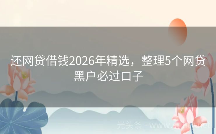 还网贷借钱2026年精选，整理5个网贷黑户必过口子