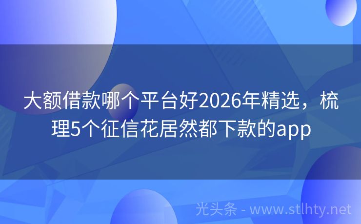 大额借款哪个平台好2026年精选，梳理5个征信花居然都下款的app