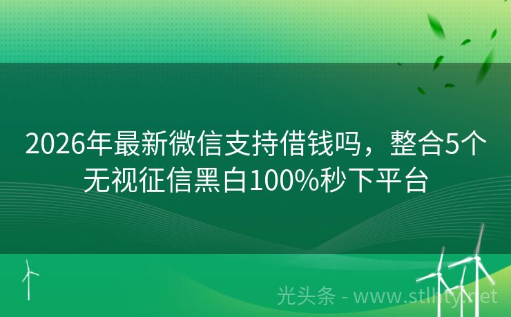 2026年最新微信支持借钱吗，整合5个无视征信黑白100%秒下平台