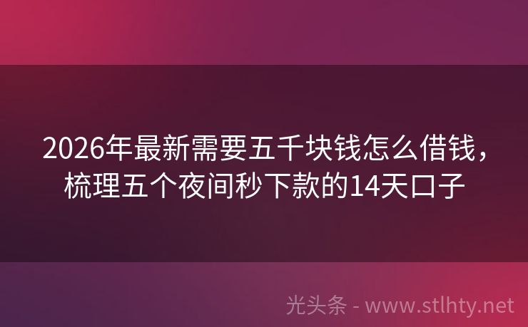 2026年最新需要五千块钱怎么借钱，梳理五个夜间秒下款的14天口子