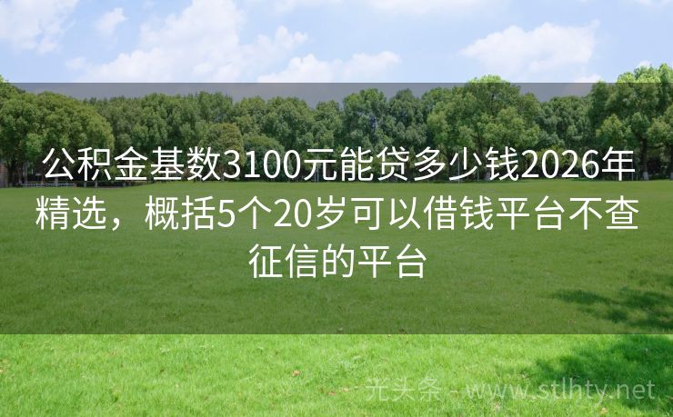 公积金基数3100元能贷多少钱2026年精选，概括5个20岁可以借钱平台不查征信的平台